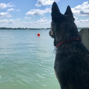 Meet your Posher, Morgan